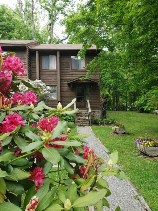 J.Creek Retreat, Creekside Townhouse +1 Car Garage Villa Maggie Valley Dış mekan fotoğraf